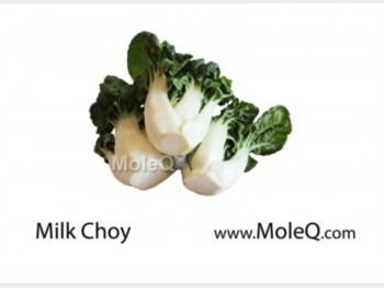 MILK CHOY 1 lb