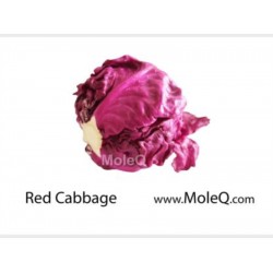 RED CABBEGE 1 lb