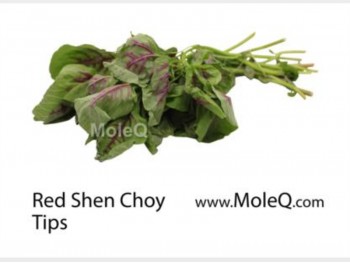 RED SHEN CHOY TIP 1 lb