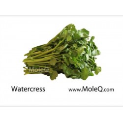 WATERCRESS（EACH)