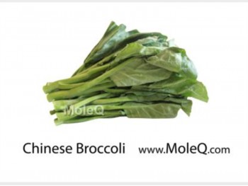 CHINESE BROCCOLI 1 lb