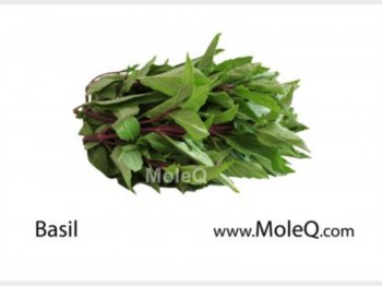 BASIL / RAU QUE （LB） 1 lb