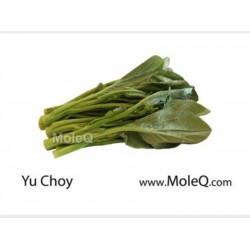 YU CHOY 1 lb