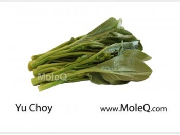 YU CHOY 1 lb