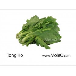 TONG HO 1 lb