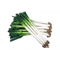 SHAN DONG LEEK 1 lb