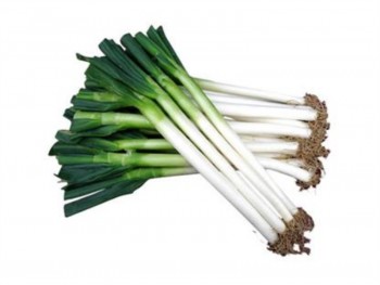 SHAN DONG LEEK 1 lb