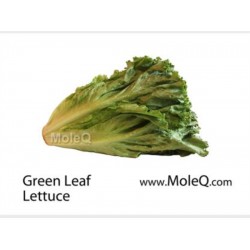 GREEN LEAF LETTUCE 1 lb