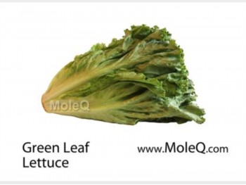 GREEN LEAF LETTUCE 1 lb