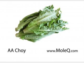 AA CHOY 1 lb