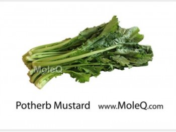 POTHERB MUSTARD 1 lb