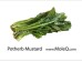 POTHERB MUSTARD 1 lb