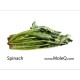 SPINACH 1 lb