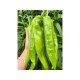 PEPPER CHILI  1 lb