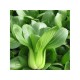 SHANGHAI BOK CHOY TIP 1 lb