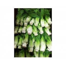 SHANGHAI BOK CHOY SUM  1 lb