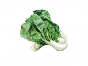 MILK CHOY SUM 1 lb