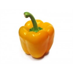 ORANGE BELL PEPPER 1 lb