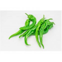 CHINA HOT PEPPER  1 lb