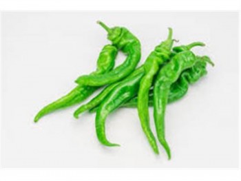 CHINA HOT PEPPER  1 lb