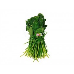SPINACH LEAF（EACH）