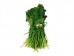 SPINACH LEAF（EACH）