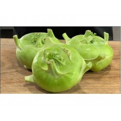 KOHLRABI 1 lb