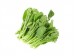 YU CHOY TIP 1 lb