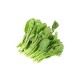 YU CHOY TIP 1 lb