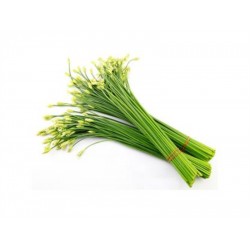 CHIVE FOWER 1 lb