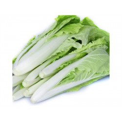 TAI WAN BOK CHOY 1 lb