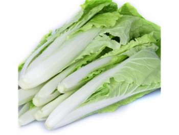 TAI WAN BOK CHOY 1 lb