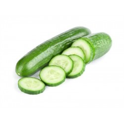 CUCUMBER SEEDLESS HYDR