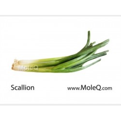 GREEN ONION（EACH）