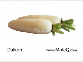 WHITE DAIKON RADISH 1 lb