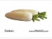 WHITE DAIKON RADISH 1 lb