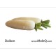 WHITE DAIKON RADISH 1 lb