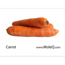 CARROT 1 lb