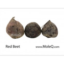RED BEET 1 lb