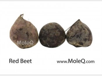 RED BEET 1 lb