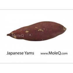 JAPANESE YAM 1 lb