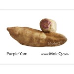 PURPLE YAM 1 lb