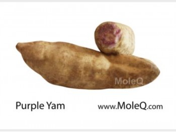 PURPLE YAM 1 lb