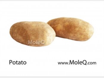 POTATO 1 lb