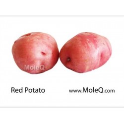POTATO 1 lb