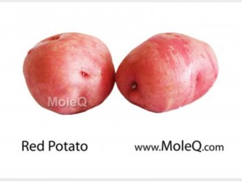 POTATO 1 lb