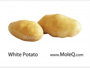 POTATO 1 lb