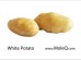POTATO 1 lb