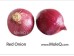 PURPLE ONION 1 lb