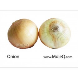 YELLOW ONION 1 lb